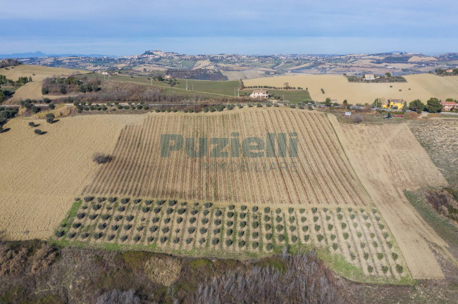 Terreno Agricolo in vendita a Lapedona