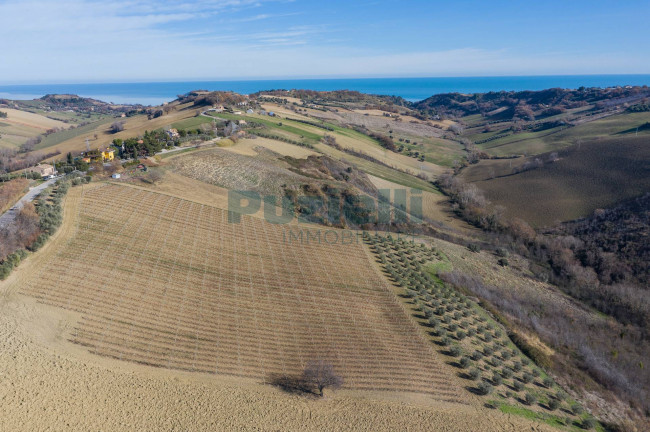 Terreno Agricolo in vendita a Lapedona