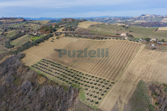 Terreno Agricolo in vendita a Lapedona