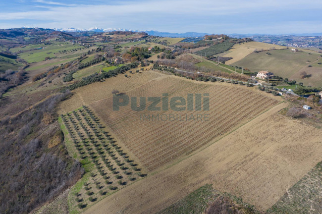 Terreno Agricolo in vendita a Lapedona