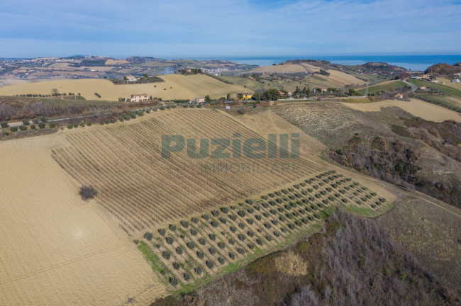 Terreno Agricolo in vendita a Lapedona