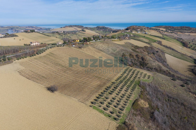 Terreno Agricolo in vendita a Lapedona