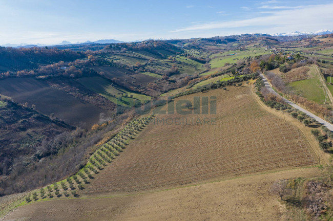 Terreno Agricolo in vendita a Lapedona