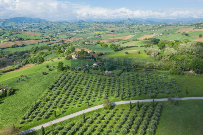 Casa singola in vendita a Belmonte Piceno