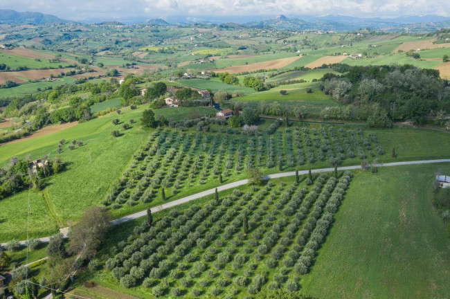 Casa singola in vendita a Belmonte Piceno