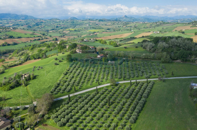 Casa singola in vendita a Belmonte Piceno