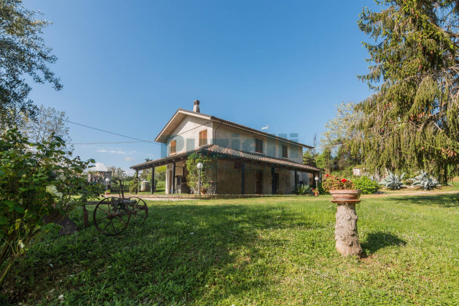 Casa singola in vendita a Belmonte Piceno