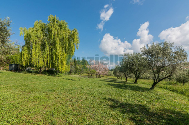 Casa singola in vendita a Belmonte Piceno