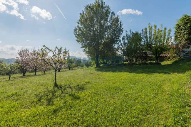 Casa singola in vendita a Belmonte Piceno