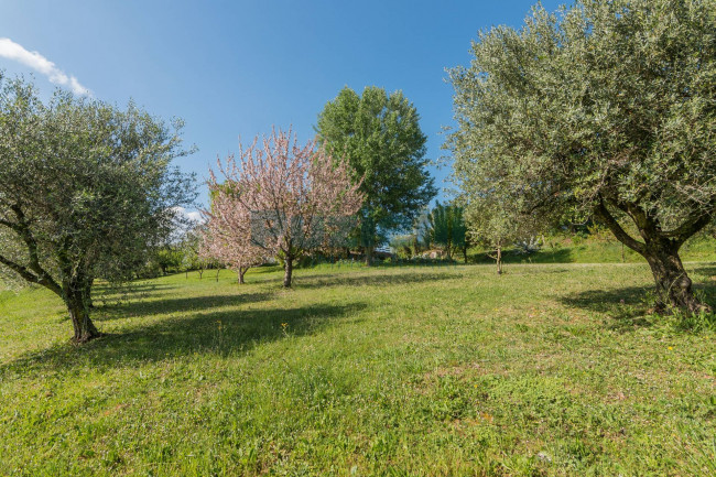 Casa singola in vendita a Belmonte Piceno