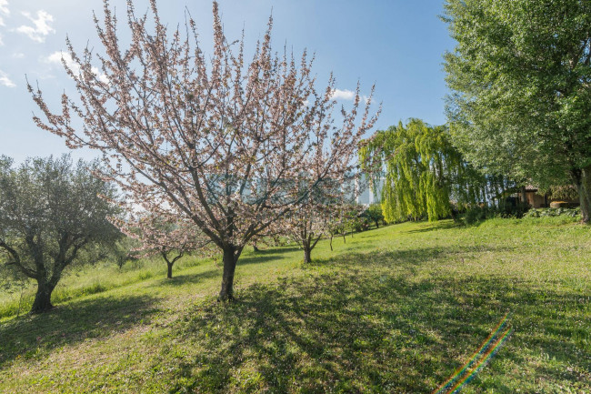 Casa singola in vendita a Belmonte Piceno