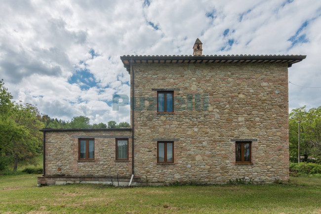  for sale in Smerillo