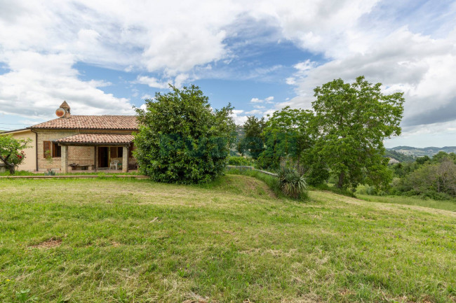  for sale in Smerillo