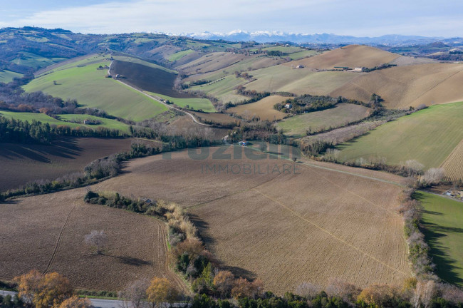  for sale in Fermo