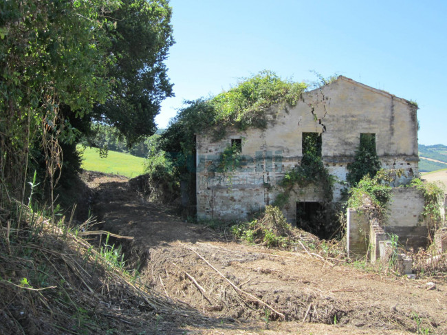  for sale in Fermo