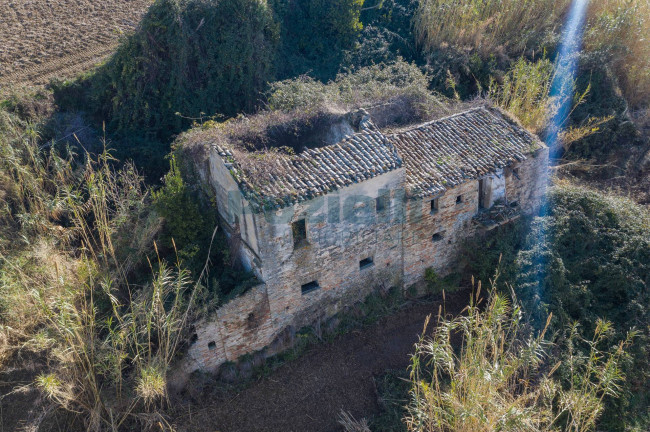  for sale in Fermo