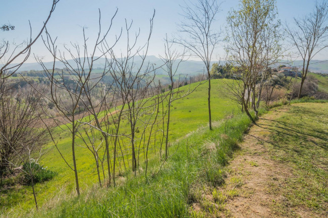 Rustico in vendita a Carassai