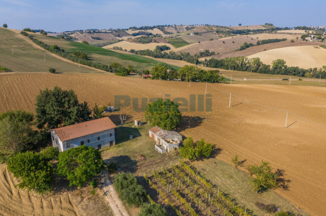 Casale in vendita a Monte San Pietrangeli