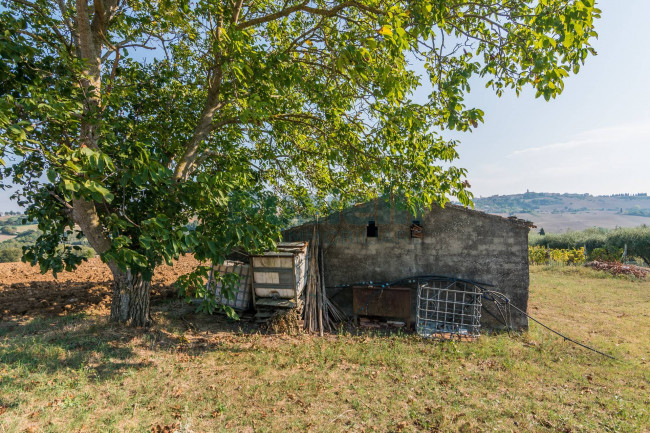 Casale in vendita a Monte San Pietrangeli