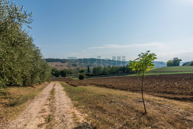 Casale in vendita a Monte San Pietrangeli