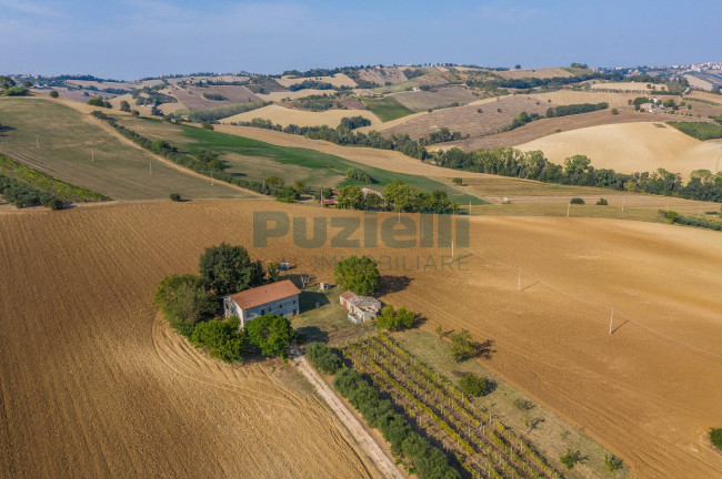 Casale in vendita a Monte San Pietrangeli