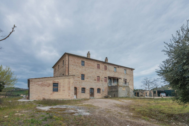  for sale in Fermo