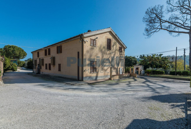  for sale in Fermo