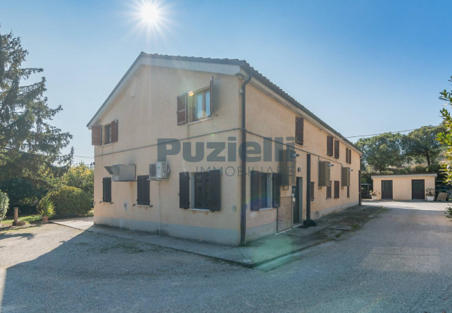  for sale in Fermo