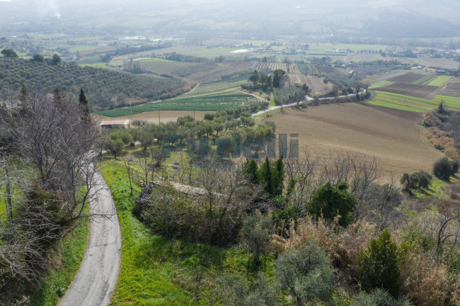  for sale in Moresco