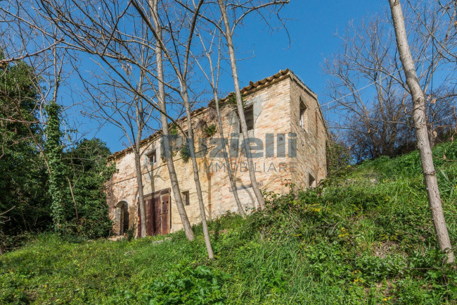  for sale in Moresco