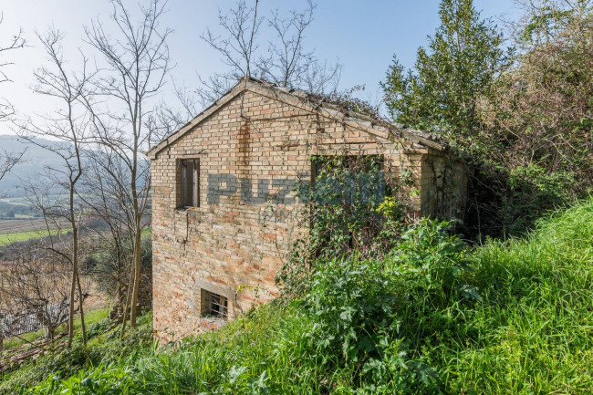  for sale in Moresco