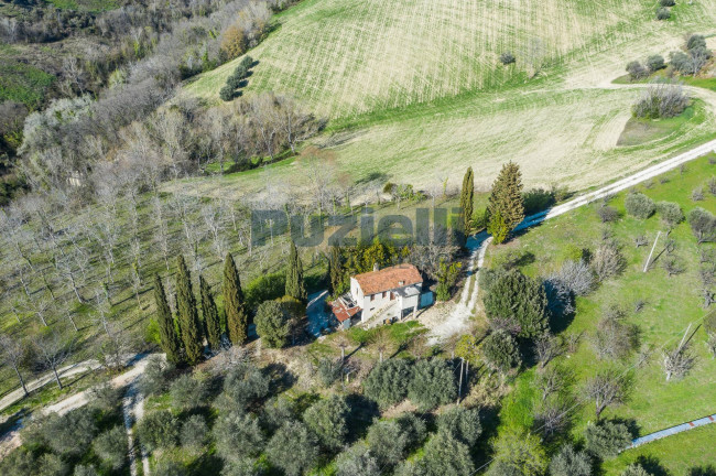 Casale in vendita a Montefiore dell'Aso