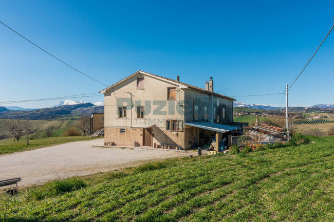  for sale in Falerone