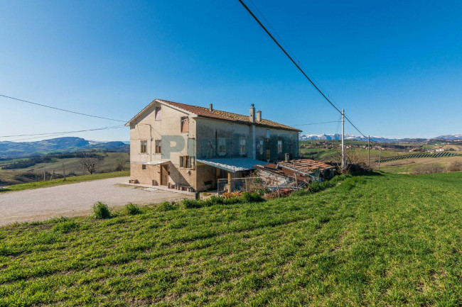  for sale in Falerone