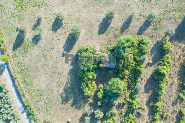 Casale in vendita a Massignano