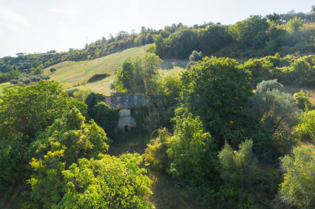 Casale in vendita a Massignano