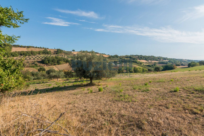 Casale in vendita a Massignano