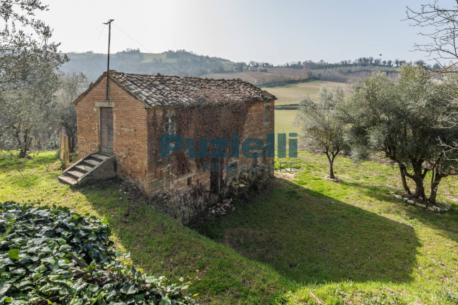  for sale in Montottone