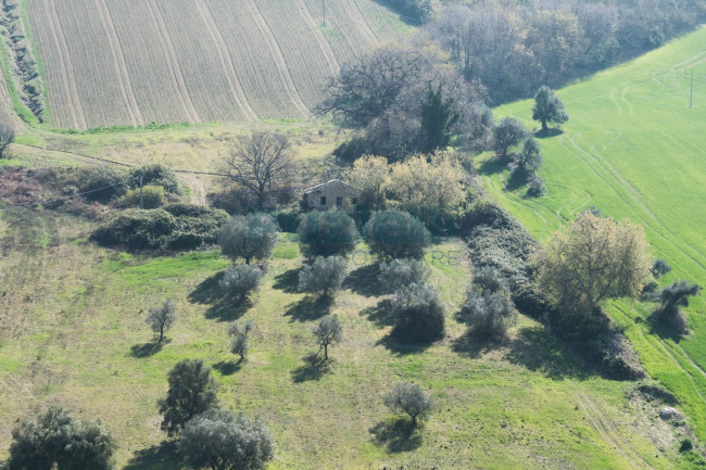 Rustico in vendita a Lapedona