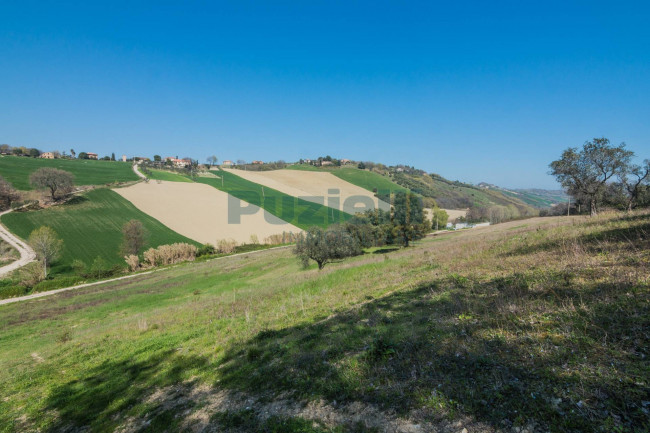 Rustico in vendita a Lapedona