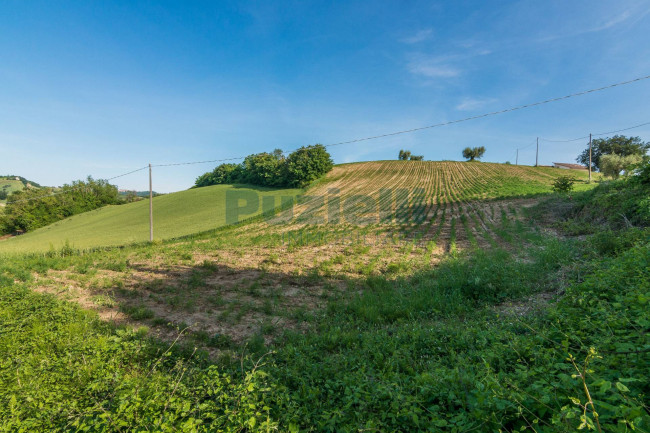 Rustico in vendita a Montottone