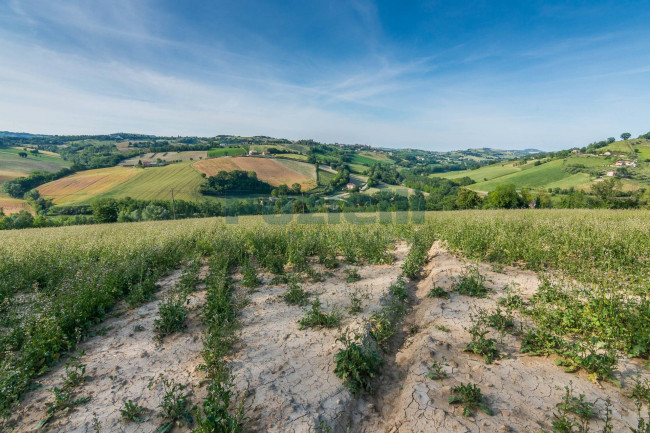 Rustico in vendita a Montottone