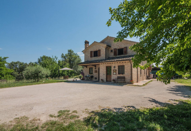  for sale in Petritoli