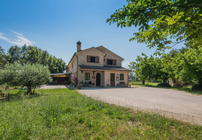  for sale in Petritoli