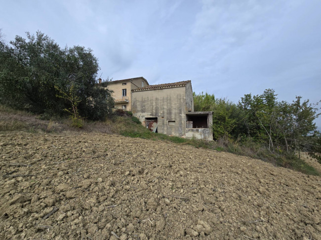  for sale in Montegiorgio