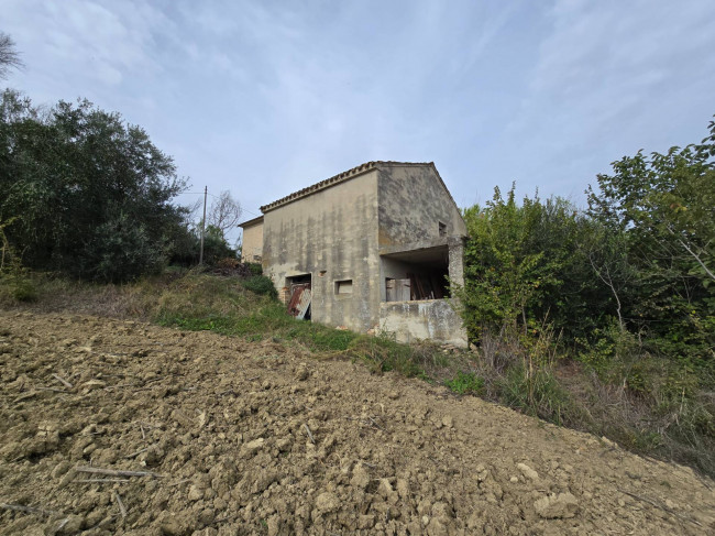  for sale in Montegiorgio