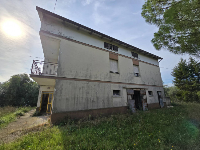  for sale in Fermo