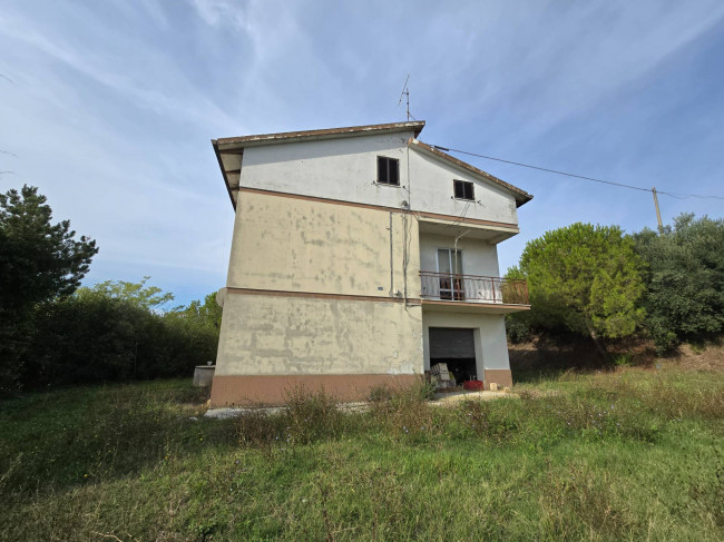  for sale in Fermo