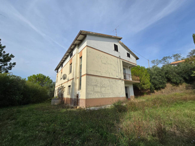  for sale in Fermo