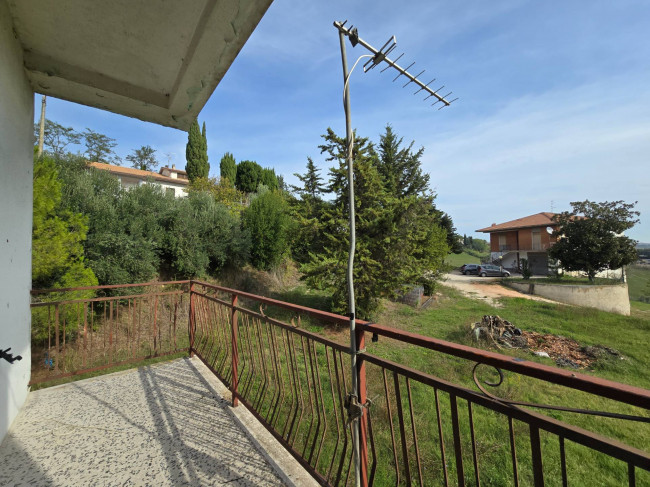  for sale in Fermo